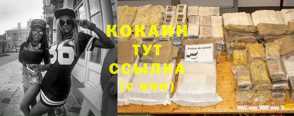 мяу мяу мука Аркадак