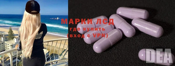 мяу мяу мука Аркадак